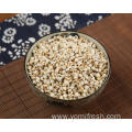 Coix Seed Grain